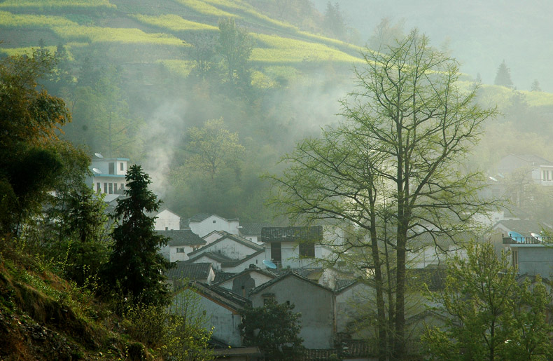 乡间的早晨 摄影 走进大自然