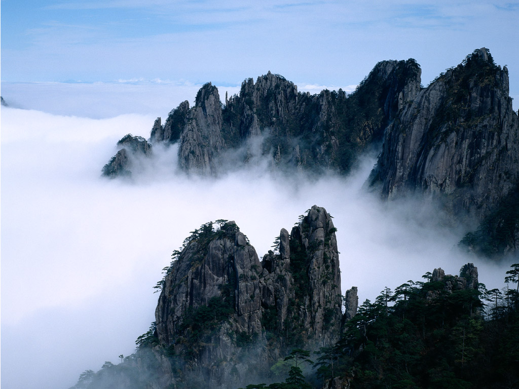 风景 摄影 花迷