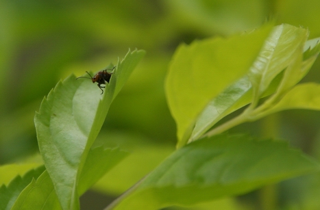 守望 摄影 饮水思源