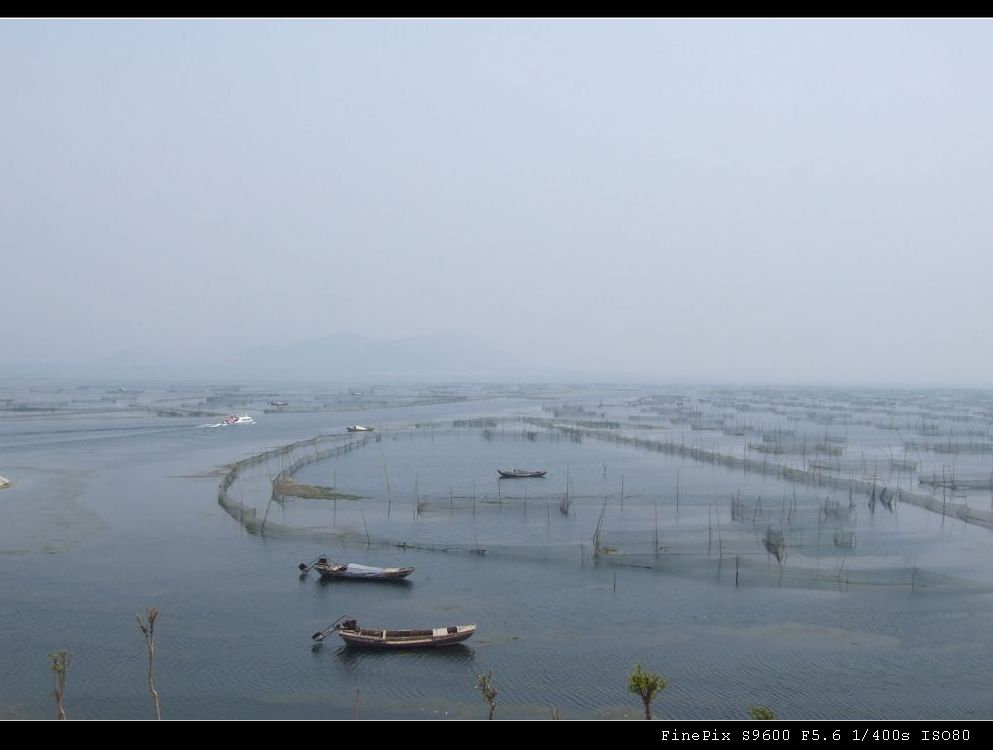 烟波浩淼东平湖 摄影 三叶