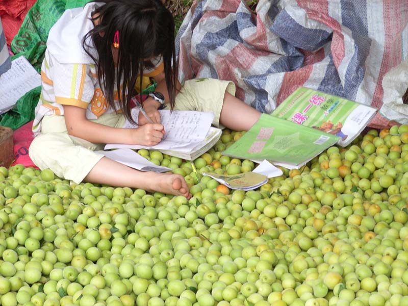 用功 摄影 强国之鹰