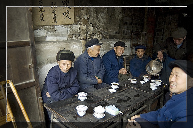 茶谈 摄影 蔷薇知音