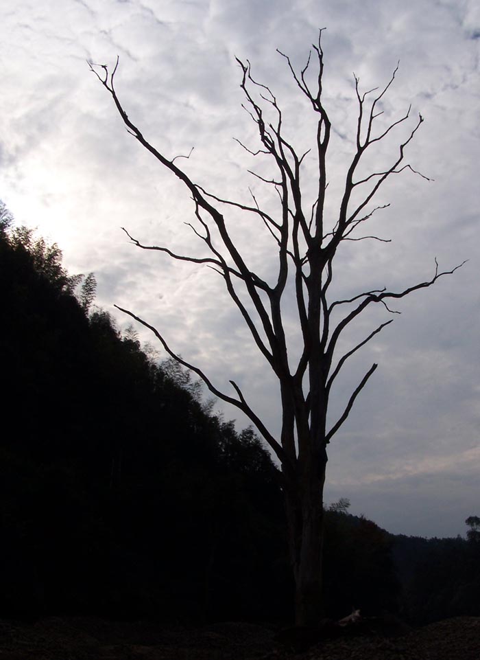 渴望 摄影 华山论剑