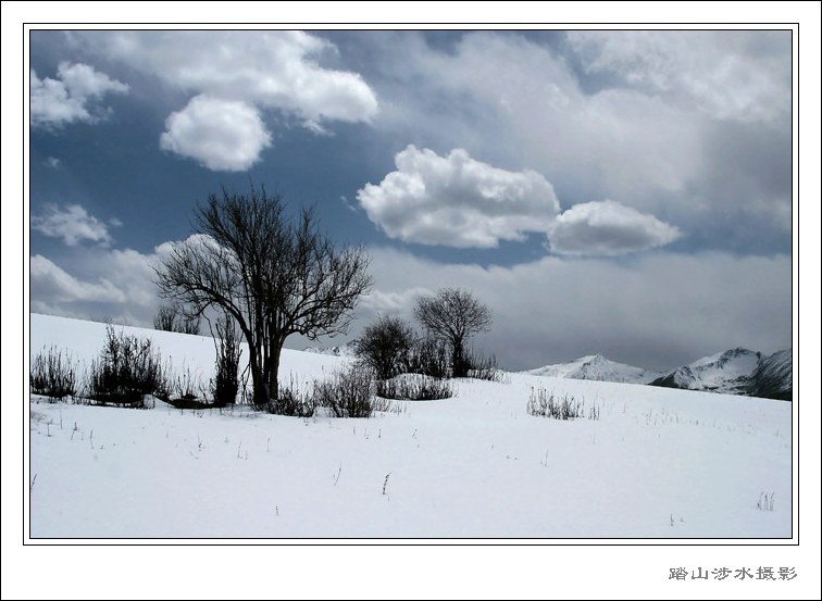 梦幻雪景 摄影 jxl1477258