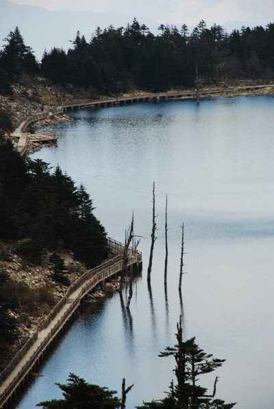 螺髻山黑龙潭一角 摄影 橡树花