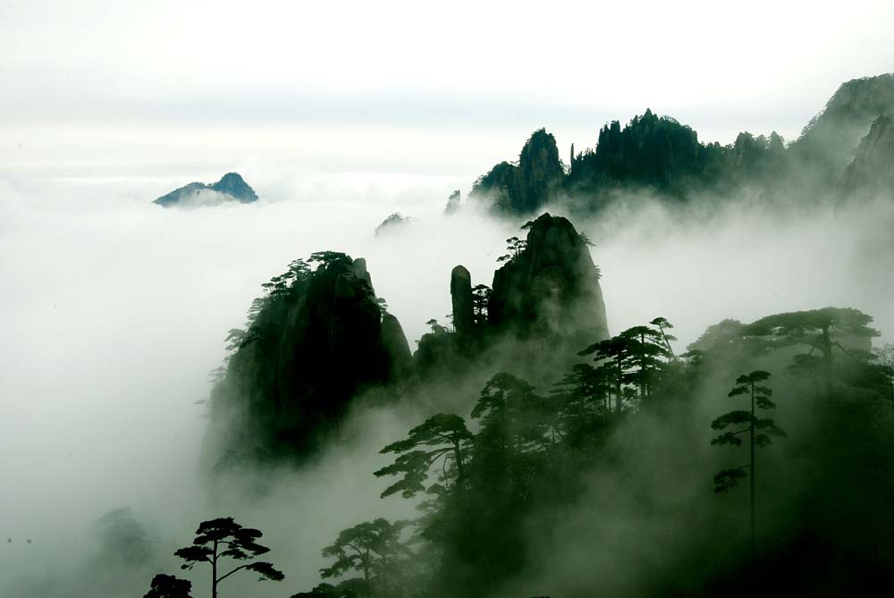 五月黄山 摄影 黄山王永新