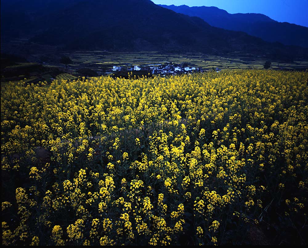 江岭春色 摄影 TakePictures