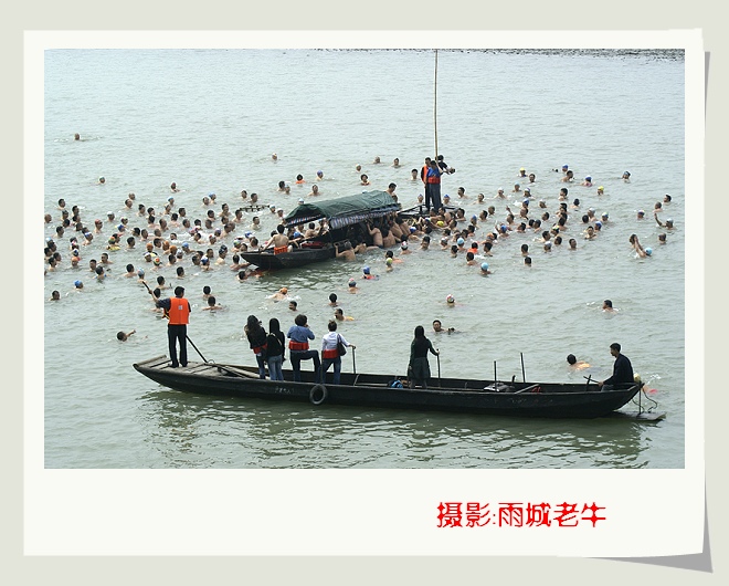 水中趣味游活动“抢鸭子”---10 摄影 雨城老牛