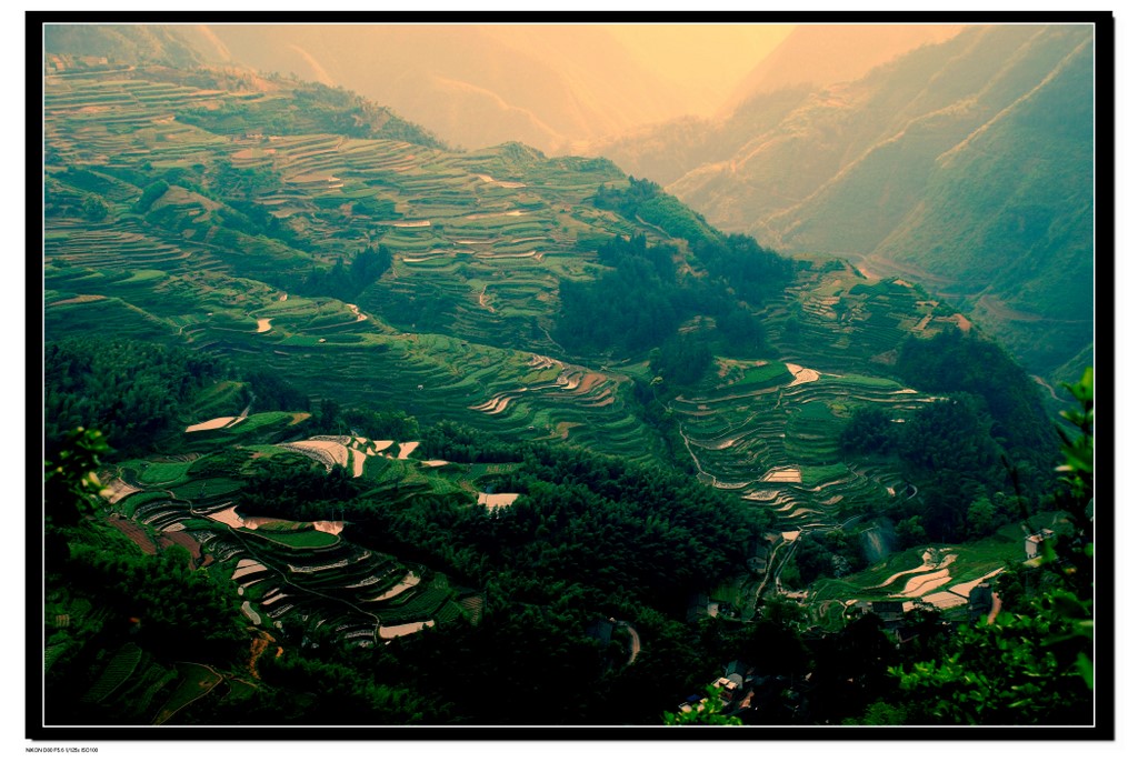 “我的”梯田 摄影 彼岸的风景