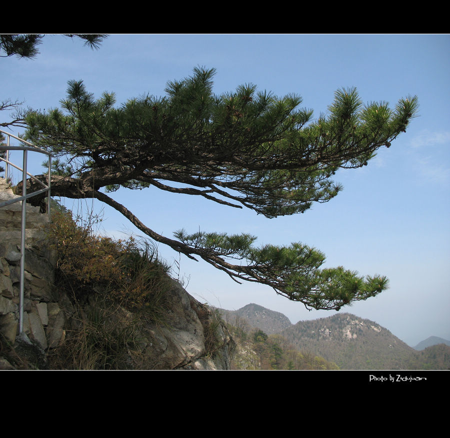 明堂山-蛟龙探海 摄影 紫杜鹃