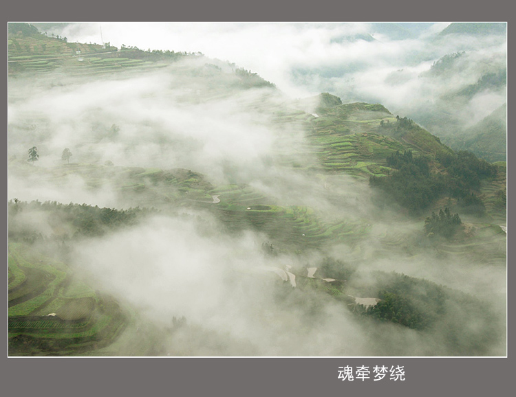 魂牵梦绕 摄影 雨亦奇