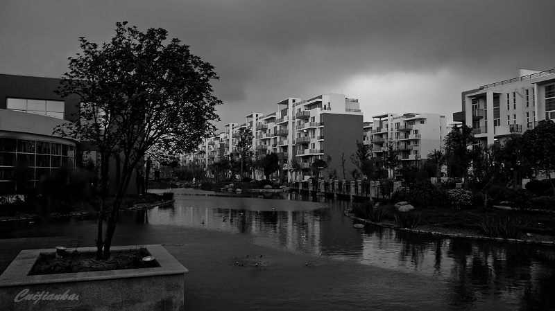 【建业美景●风雨欲来风满楼】2 摄影 制片人