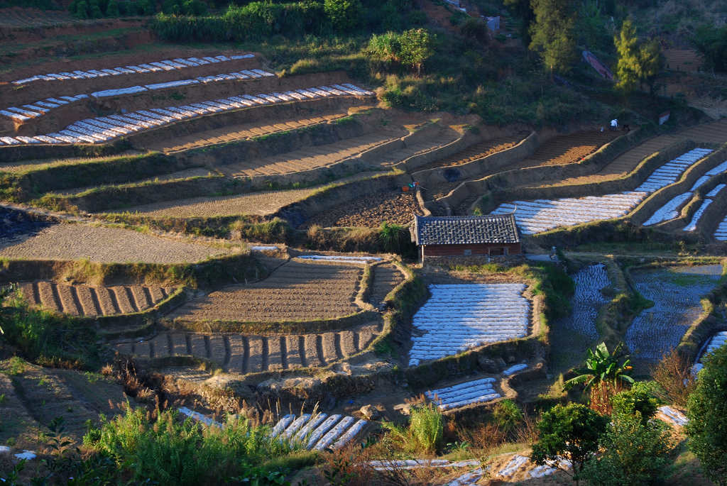 田园小景 摄影 政务