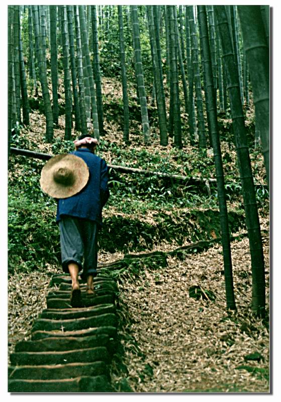 蜀乡情 摄影 燕山野夫