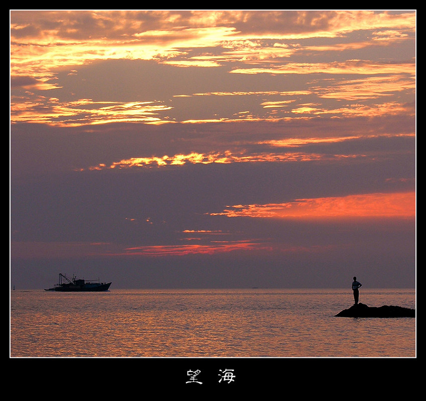 望海 摄影 纯毛小鸭