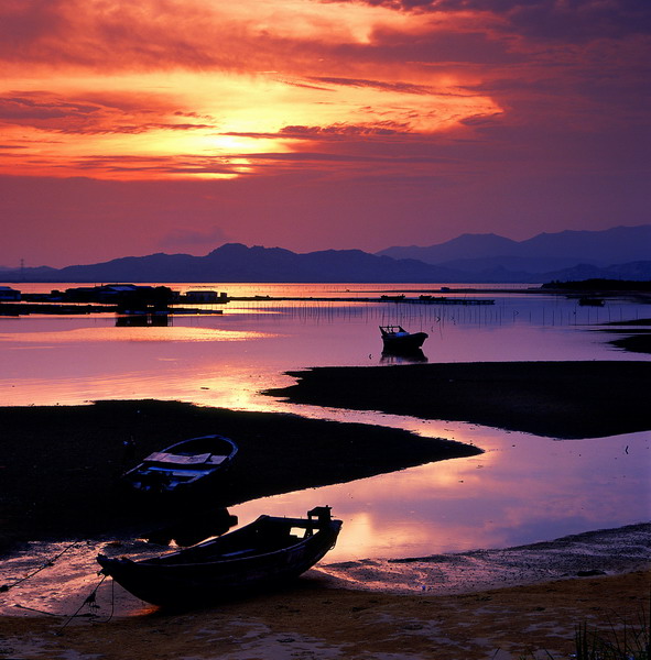 《滩涂美景》 摄影 鸿福阁