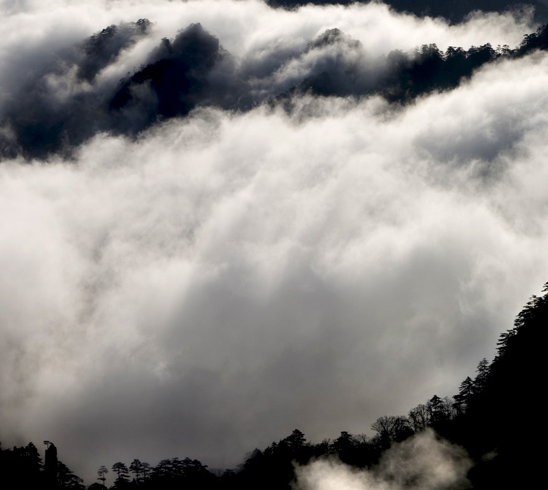 黄山云海十 摄影 龙眠山客