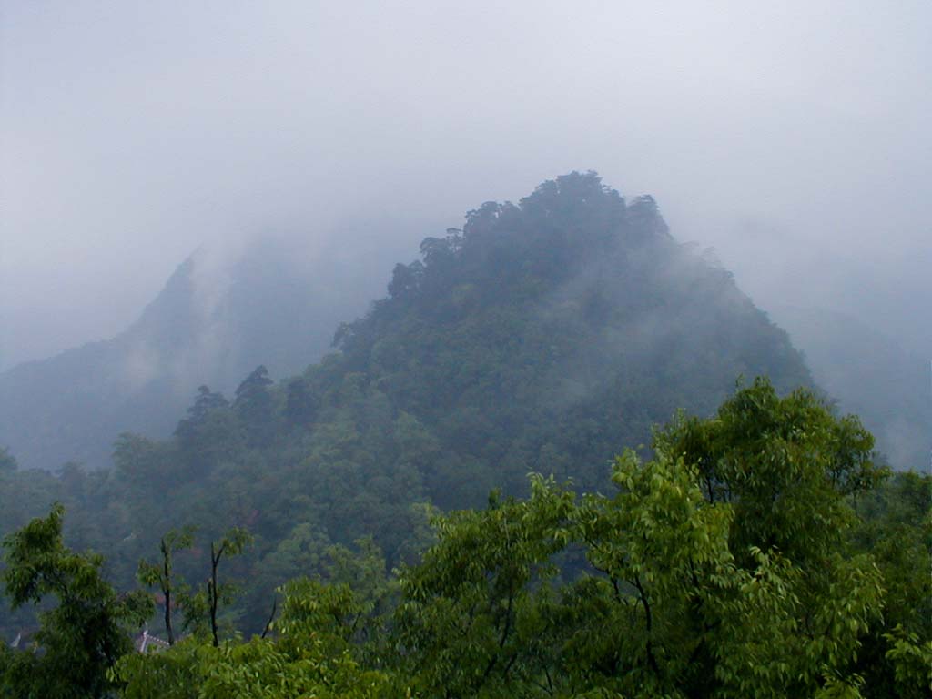 烟雨朦胧的黔灵山 摄影 成林