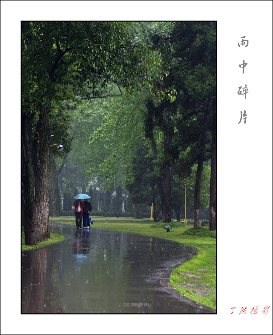 ++雨中碎片（解放公园）++ 摄影 Rowater