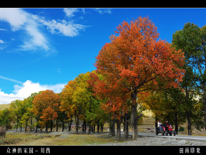 川西 摄影 剑阳白子