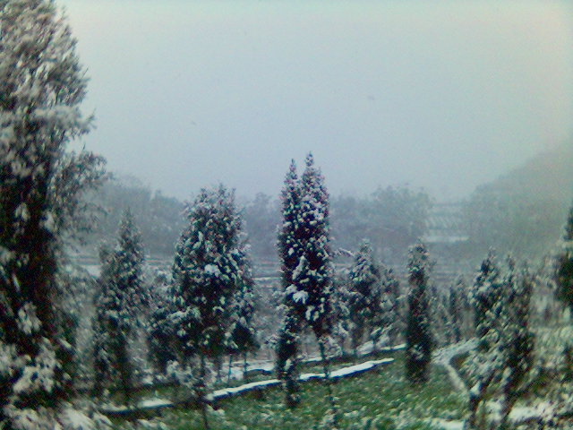 乡下的雪 摄影 屋檐下的蛤蟆