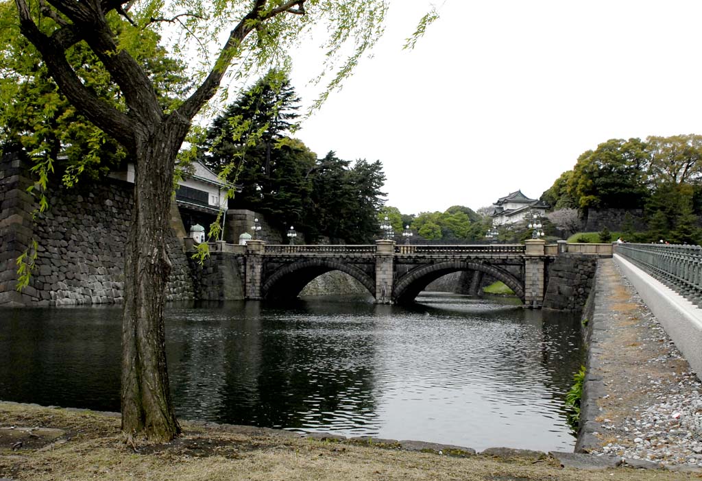 日本印象——皇宫二重桥 摄影 林雨