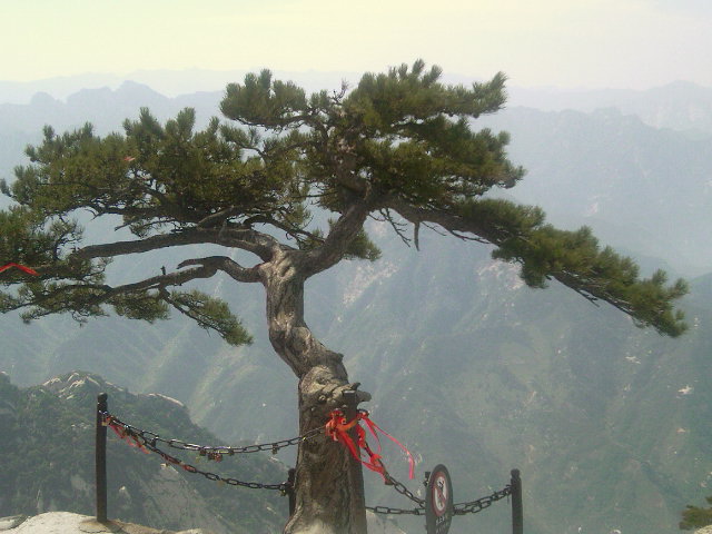 风景 摄影 山野拂晓