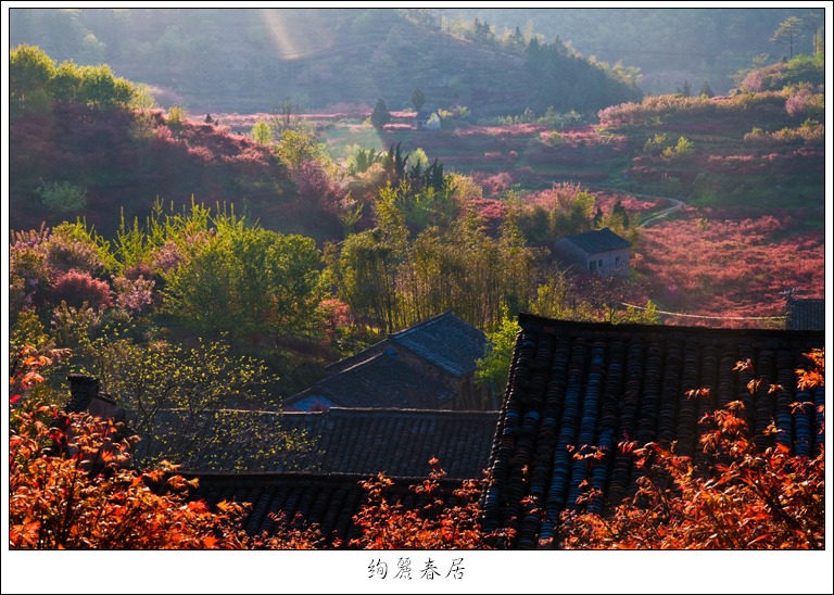 绚丽春居 摄影 老黄牛.