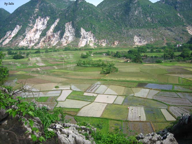 花江 摄影 loocheng