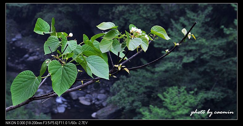 小品(04) 摄影 草民