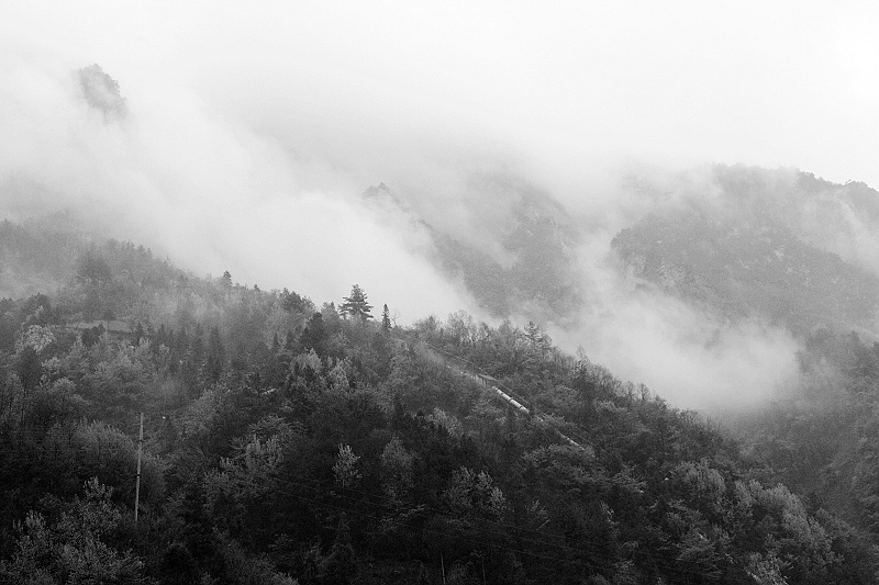 神龙风采 摄影 巴山