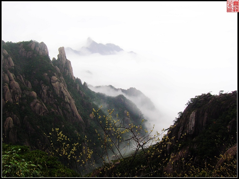 三清山绝景 摄影 高峰牛