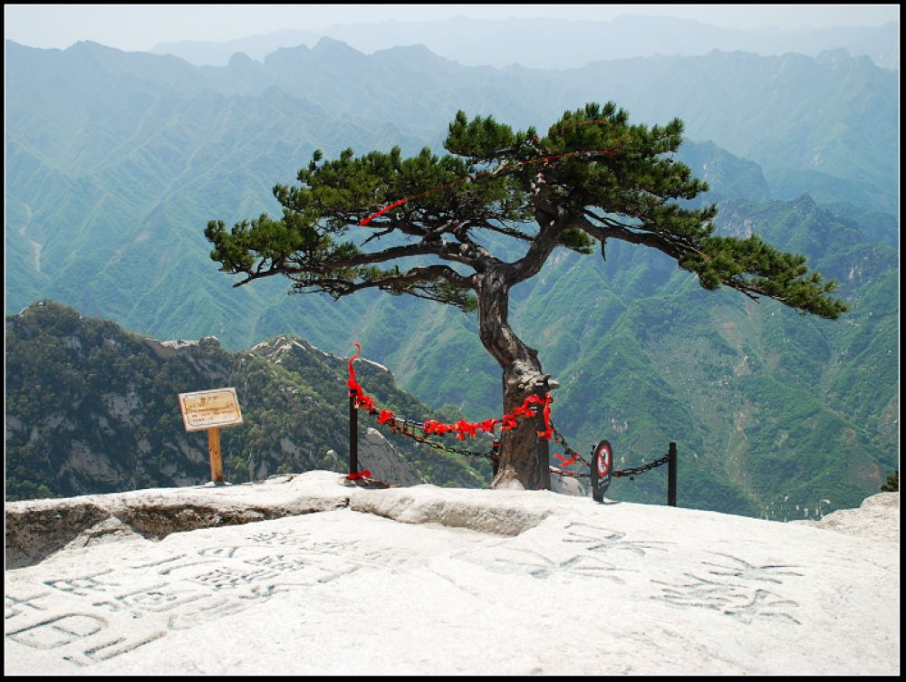 西岳华山 摄影 霹雳旋风