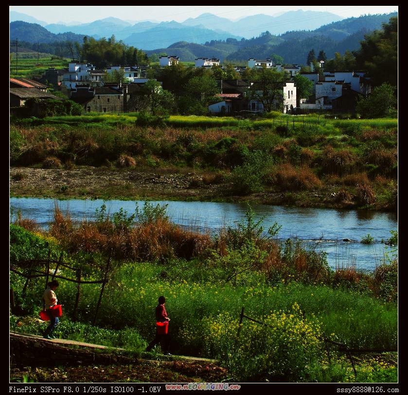 婺源印象 摄影 靠山屯