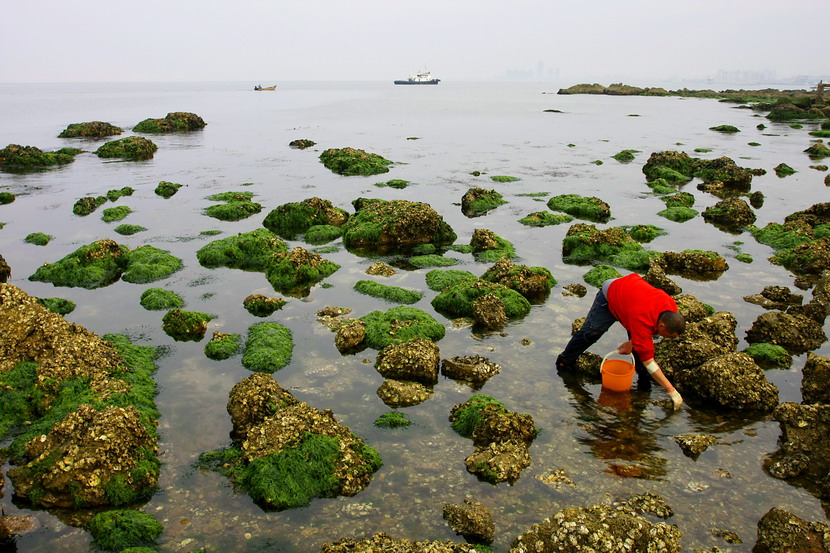 海岸粮仓 （1） 摄影 潜望镜002