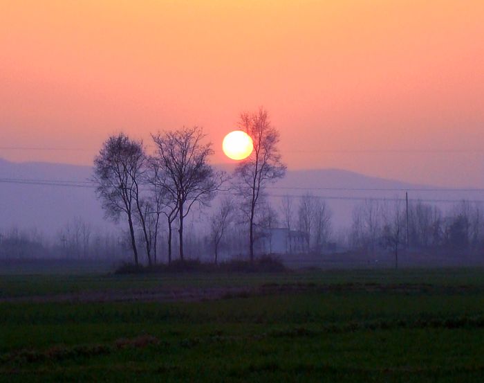 夕阳 摄影 秋日思语