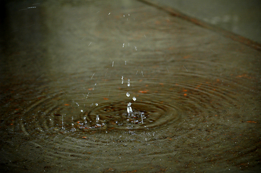 雨滴 摄影 寒玉