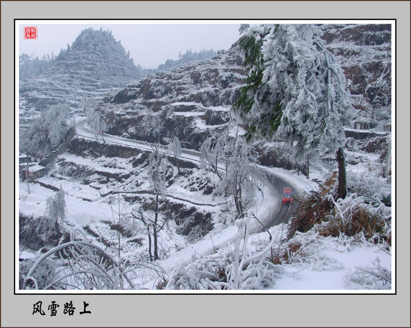 风雪路上 摄影 快刀斩乱麻