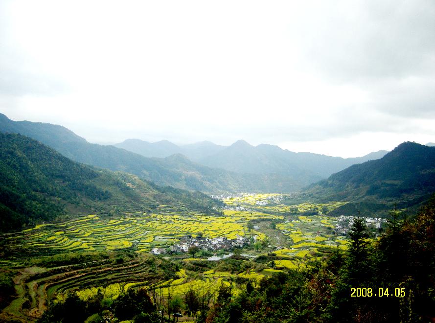 占领江岭 摄影 芭芭拉