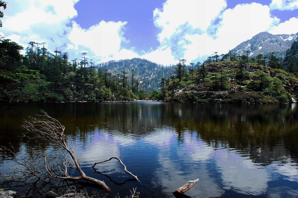 螺髻山仙草湖 摄影 橡树花