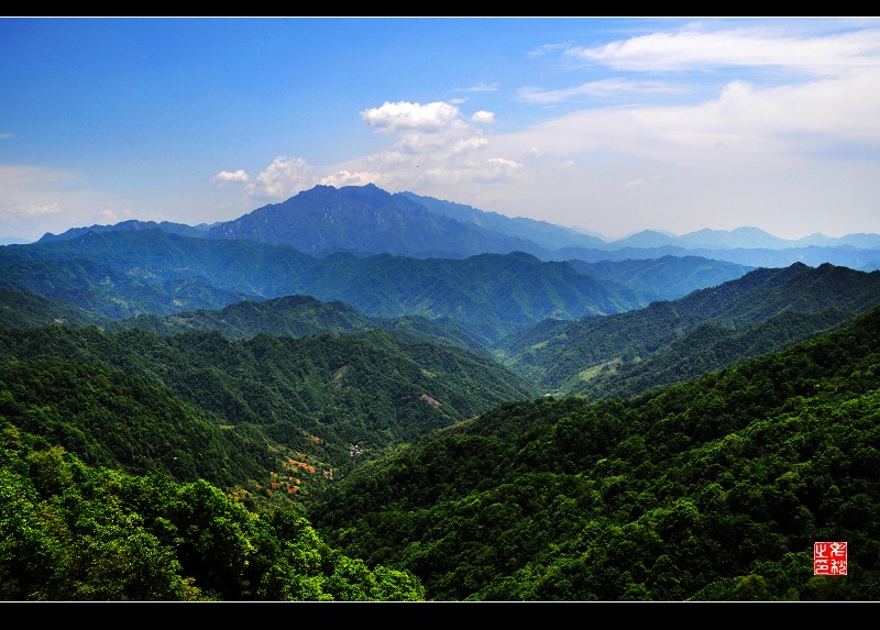 夏日伏牛山 摄影 老秋