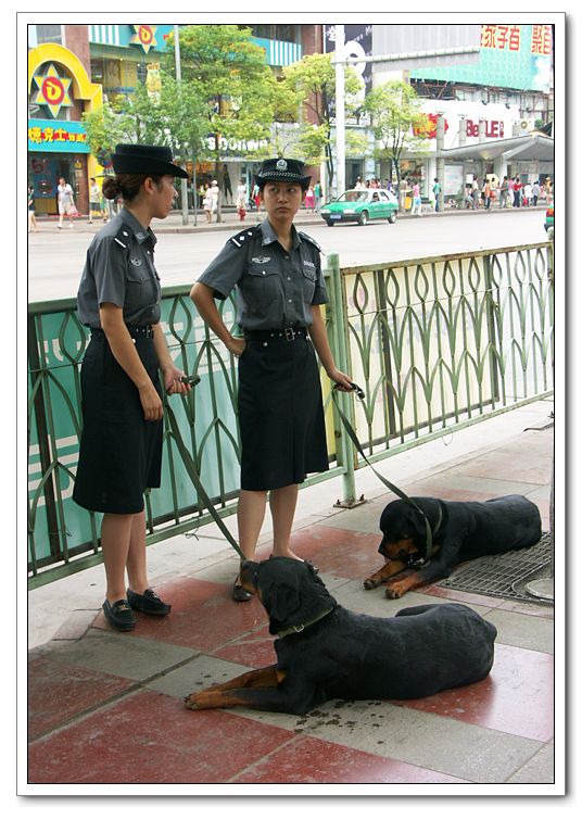 警犬与主人 摄影 涛声68