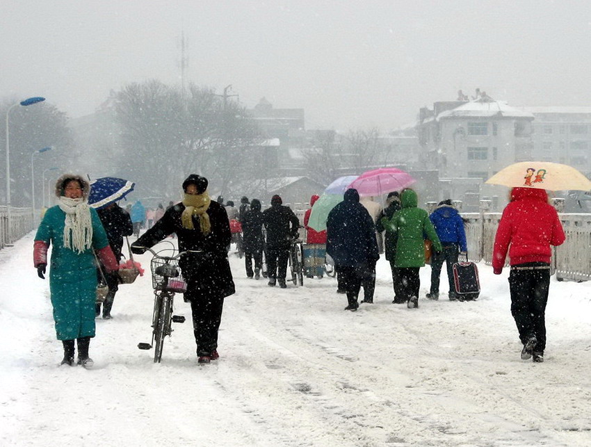 风雪挡不住归家路 摄影 华绿