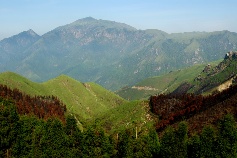 高山草原 摄影 theone2006