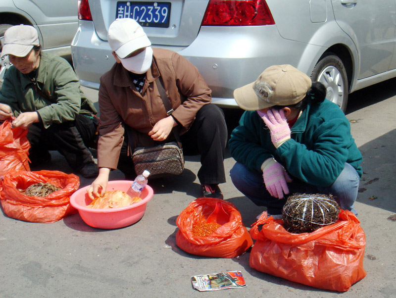 不好意思 摄影 新芽