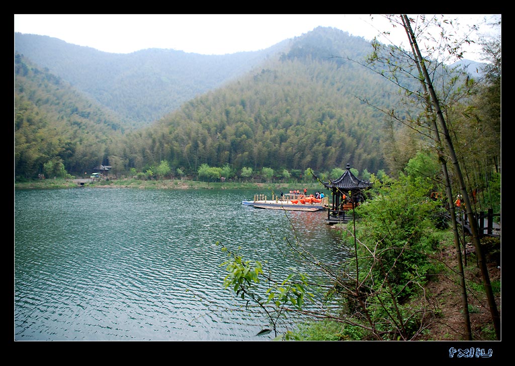 南山竹海 摄影 小红椒