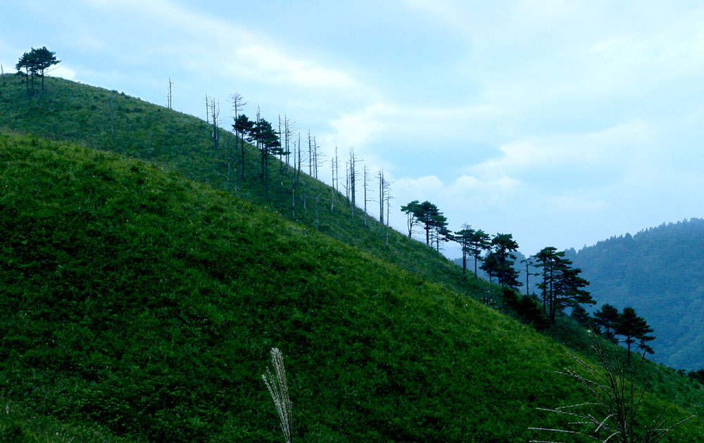 感受山水武宁08 摄影 古峰