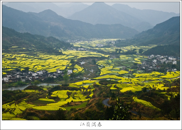 江岭春色 摄影 老黄牛.