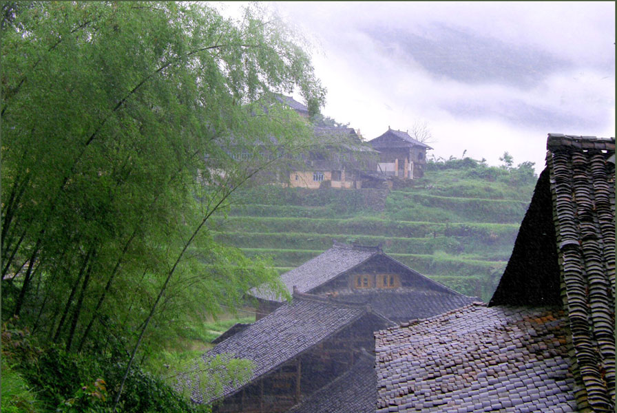 天之泪－－－雨 摄影 少不努力