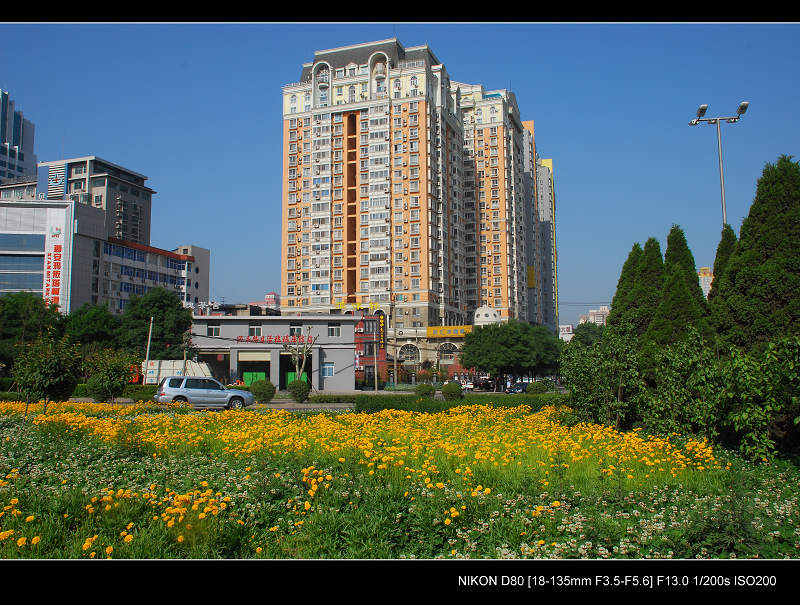 美丽的城市 摄影 阳光灿烂中